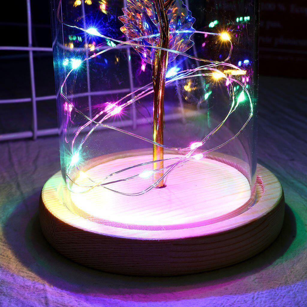 Eternal Rose Under Glass Dome with LED Lights