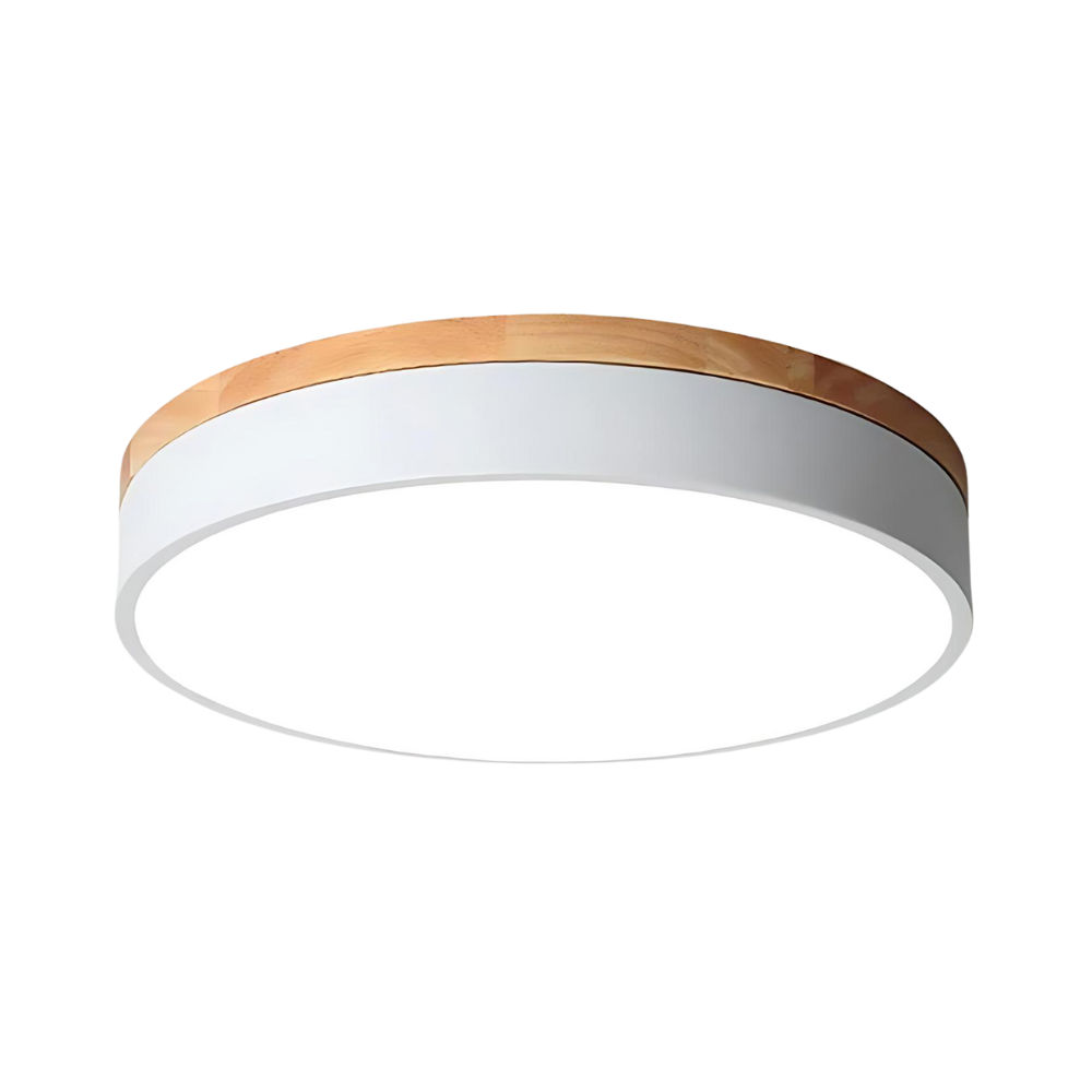 Minimalist Ceiling Light with Natural Wood and Metal Frame