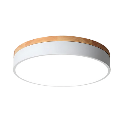 Minimalist Ceiling Light with Natural Wood and Metal Frame