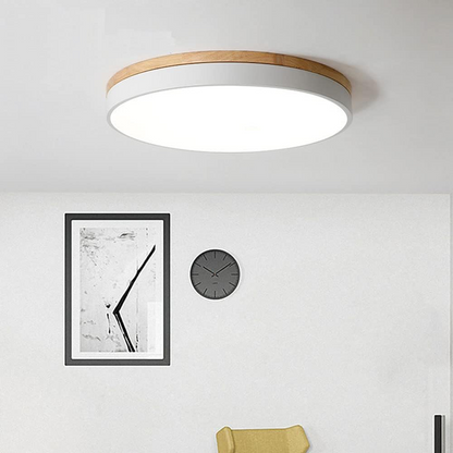 Minimalist Ceiling Light with Natural Wood and Metal Frame