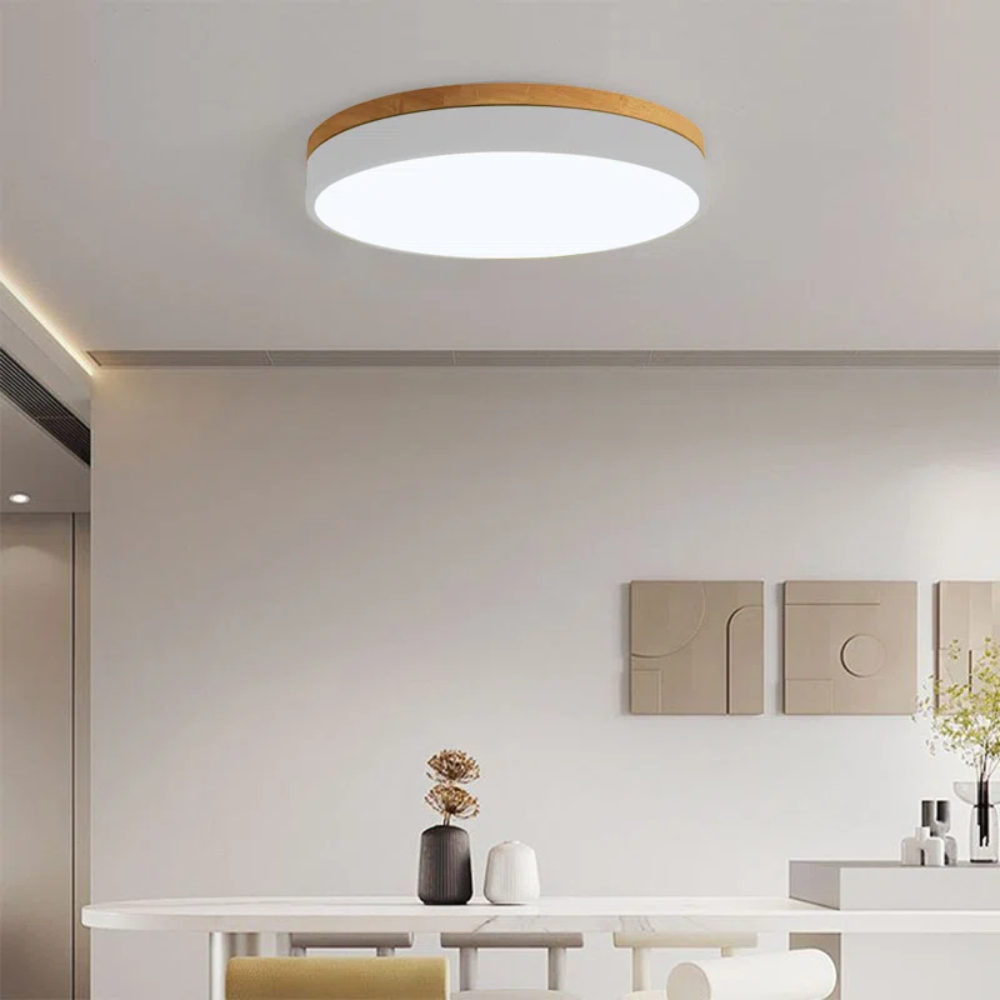 Minimalist Ceiling Light with Natural Wood and Metal Frame