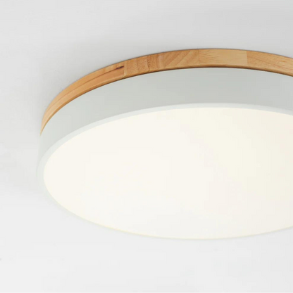 Minimalist Ceiling Light with Natural Wood and Metal Frame