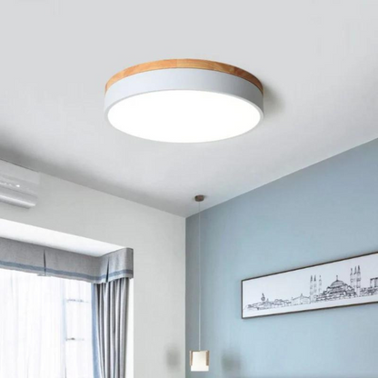 Minimalist Ceiling Light with Natural Wood and Metal Frame