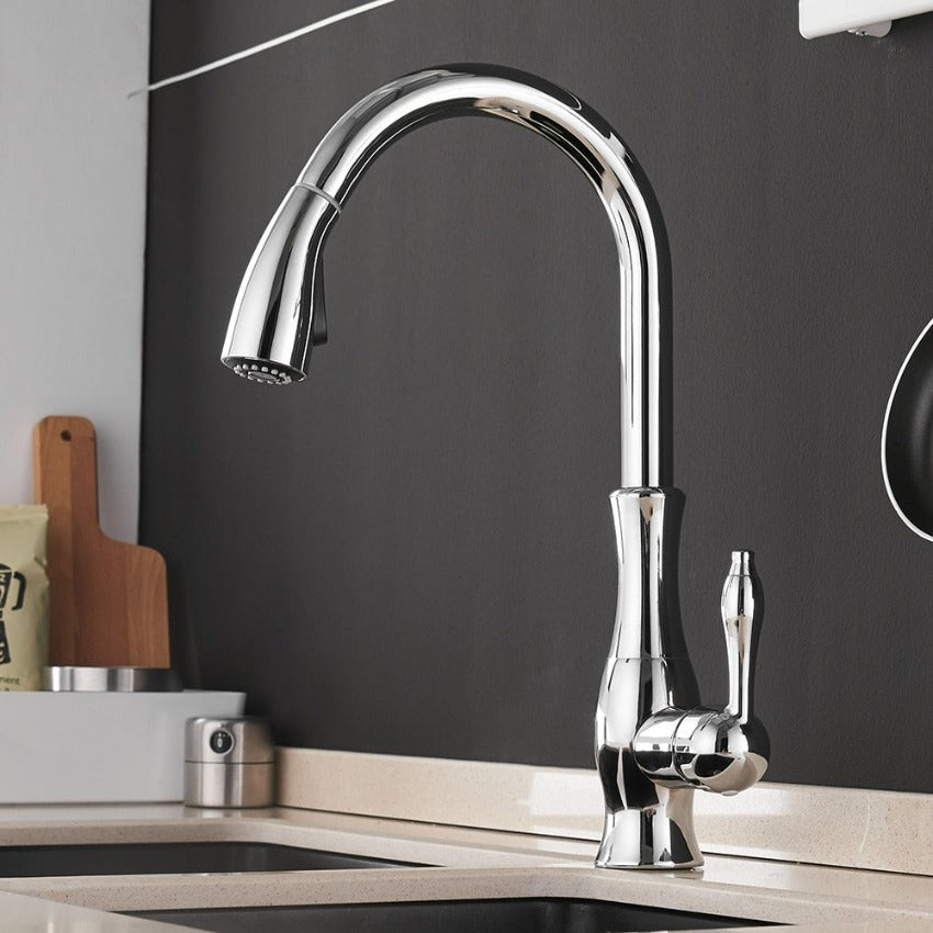 Retractable Kitchen Faucet Stainless Steel Silver Modern Design