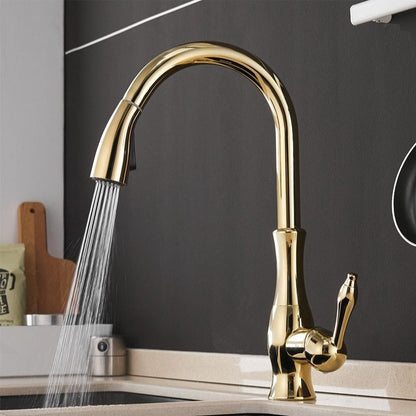 Retractable Kitchen Faucet Stainless Steel Silver Modern Design