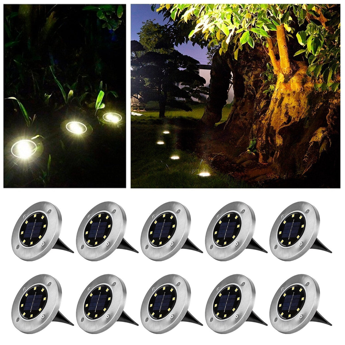 Solar LED Garden Lights with Automatic On/Off Function, IP65 Protection and 600mAh Battery